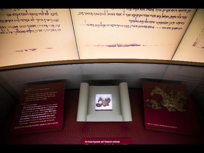 Museo Washington, via Rotoli Mar Morto