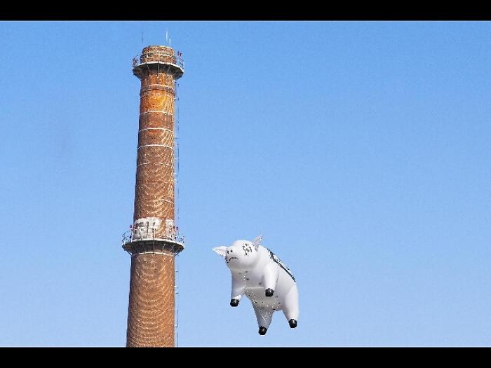 Maiale bianco per Roger Waters a Milano