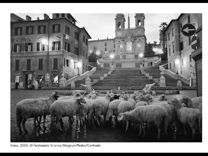 Marcoaldi-Scianna, Di bestie e animali