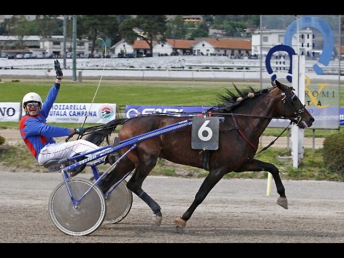 Nata 'Ippica Nuova' per rilancio settore