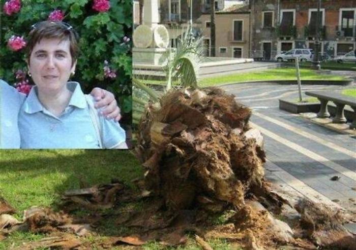 Donna uccisa da palma a Catania: iniziato processo