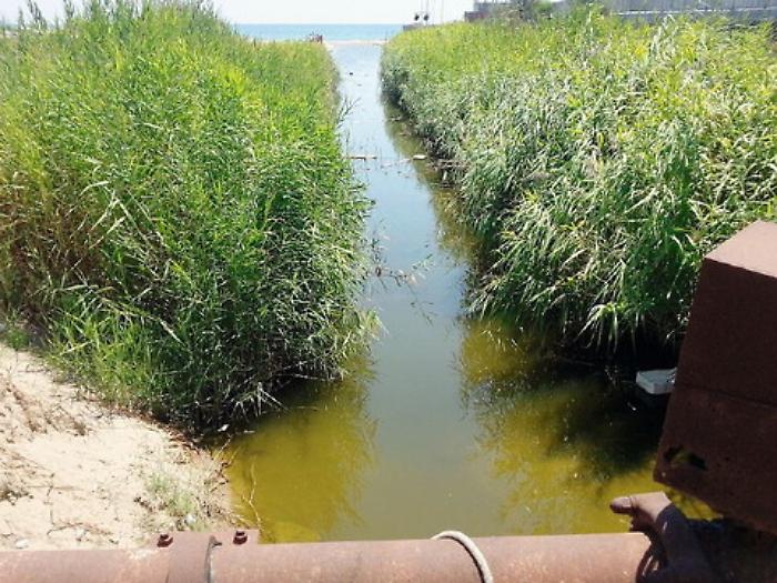  &laquo;Il mare &egrave; inquinato dai corsi d'acqua il Comune di Catania deve intervenire subito&raquo;