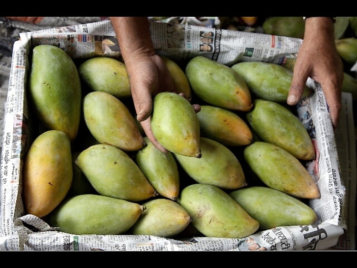 Avogado, mango ma anche sapodilla e zapote: in Sicilia  boom di produzione di frutti esotici...