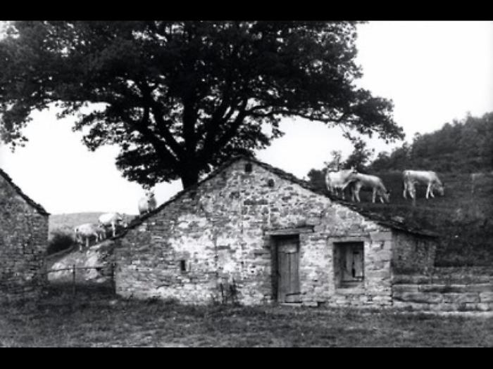 Forl&igrave; omaggia il fotografo Paolo Monti