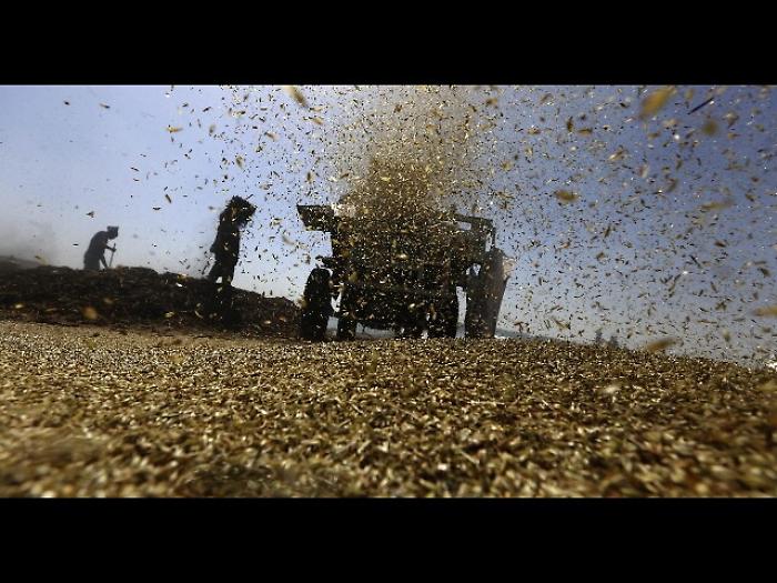 Cina, maxi-dazi sui cereali Usa