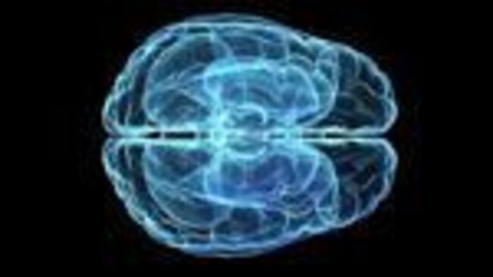 Svelato il mistero del d&eacute;j&agrave; vu, &egrave; un 'antivirus' del cervello