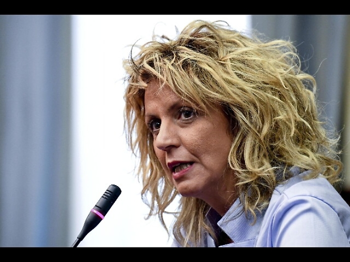 Il ministro Lezzi: &laquo;Tav Torino-Lione?Senza, si fa l'Alta velocit&agrave; in Sicilia&raquo;