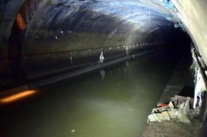 Farmaci: residui in acque reflue sotto accusa, creano batteri resistenti