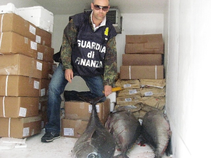 Sequestro 8 quintali di tonno rosso