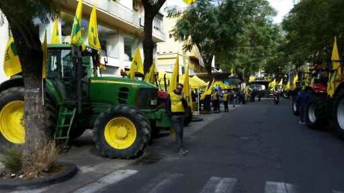Così rischia di sparire la spremuta italiana In 15 anni via un terzo delle piante di arancio