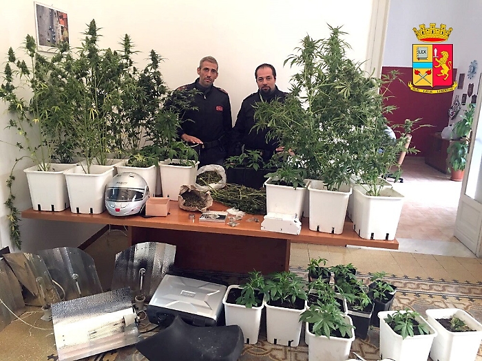 Palermo, la polizia cercava ricambi rubati e invece trova (anche) una piantagione di marijuana