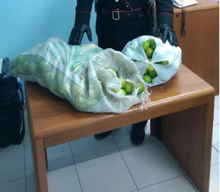 Catanese arrestato a Noto per il furto di due tonnellate di agrumi