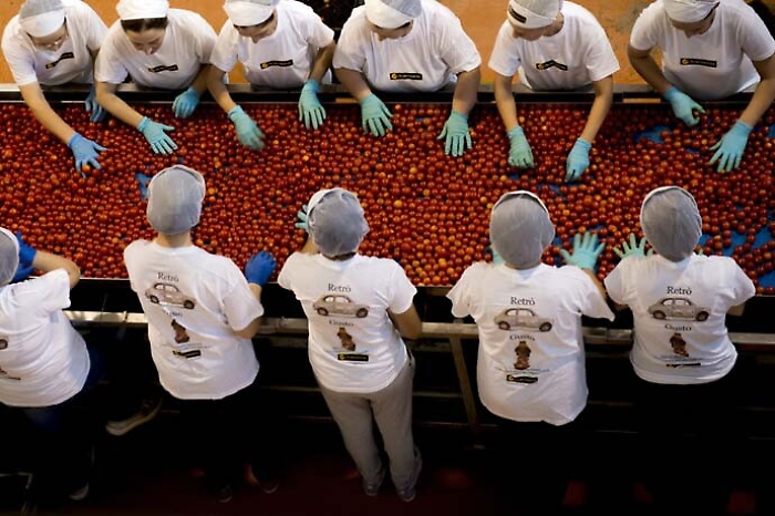 Lavoro, tour del ministro Poletti e del sottosegretario Faraone tra le eccellenze di Sicilia