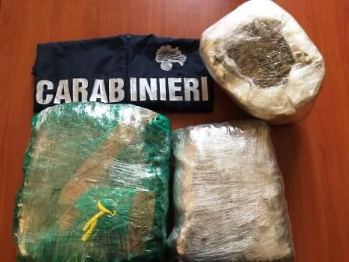 Catania, in casa aveva 10 chili di marijuana: arrestato
