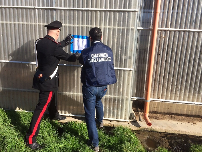 Barcellona, da un capannone odori nauseabondi, sequestrata azienda agricola