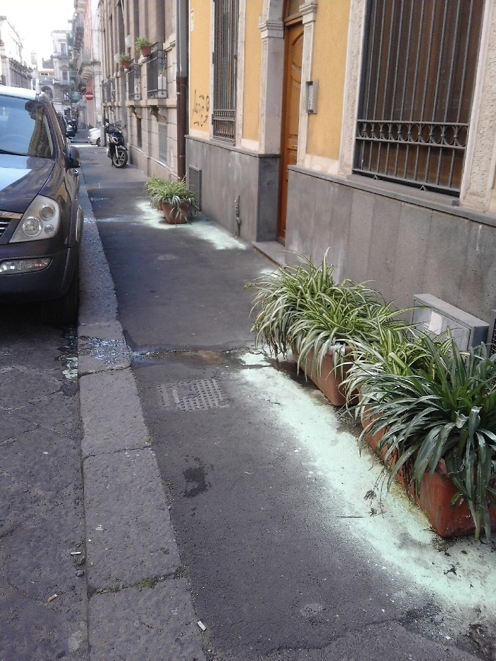 Catania, in via Aloi fioriere non autorizzate e utilizzo di sostanze pericolose