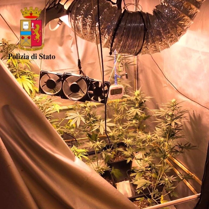 Palermo, serra di marijuana in casa: arrestati due fratelli