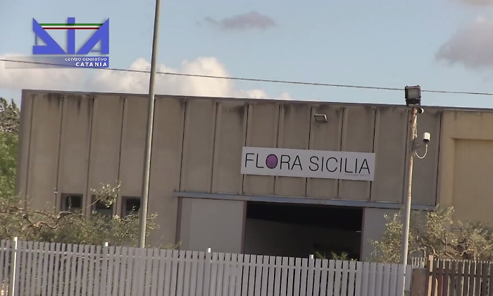 Vittoria, &ldquo;trafficava&rdquo; droga tra Sicilia, Olanda, Lazio e Calabria: sequestrati 20 milioni ai Cilia