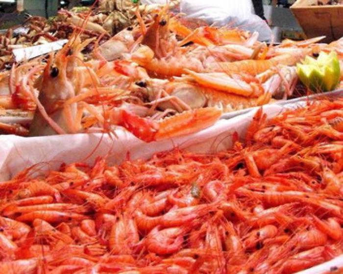 Mercato ittico al Maas aperto per vigilia di Natale e Capodanno