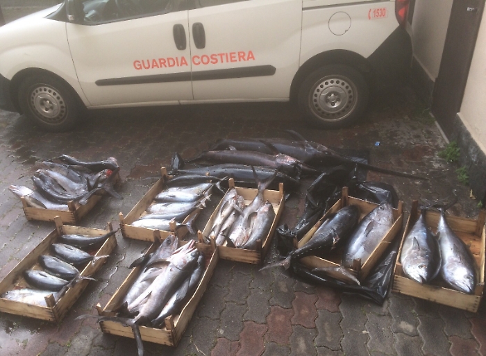 Pesca "fuori legge", lasciano pesce in spiaggia e fuggono via mare