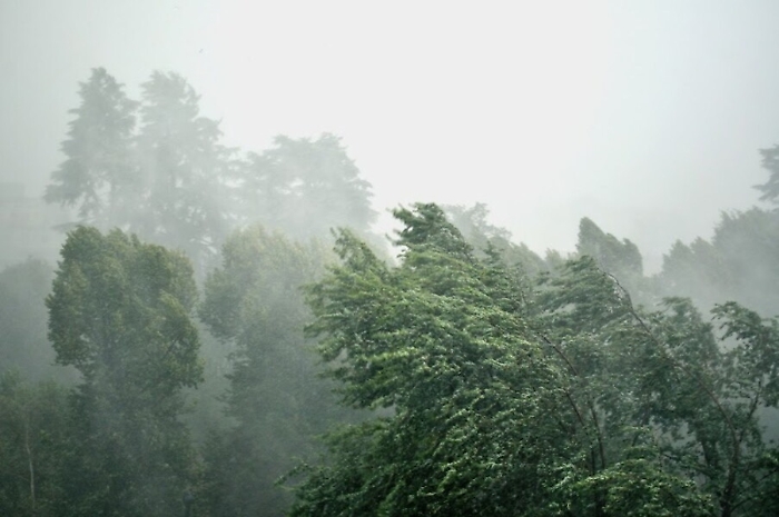 1546504092847_1618807039400-1