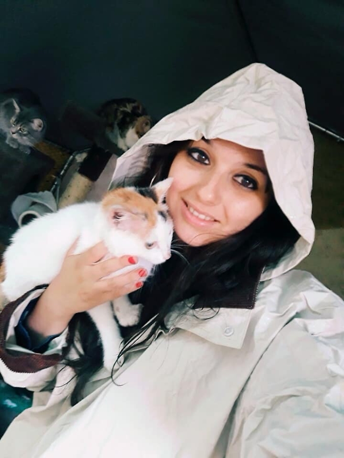 Accudisce i tanti gatti randagi ad Agrigento, adesso chiede un aiuto