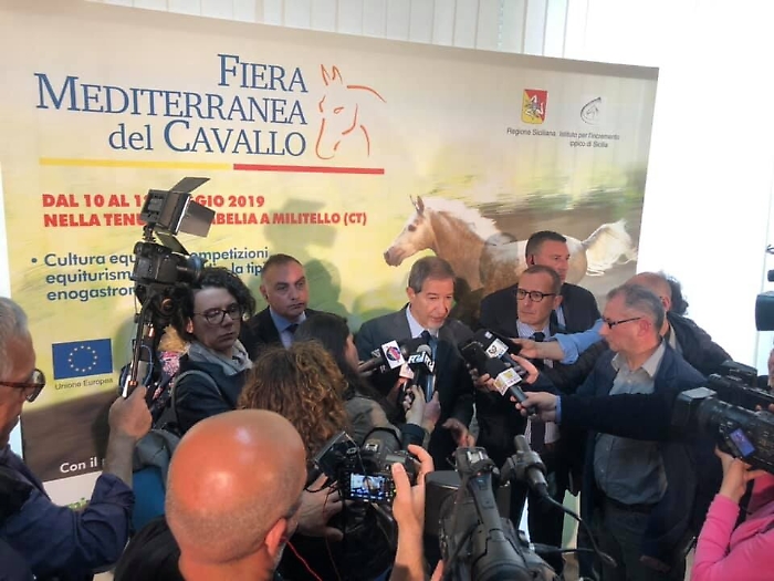 La Tenuta Ambelia rivive con la Fiera Mediterranea del Cavallo
