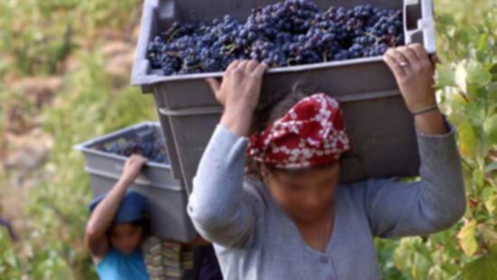 Licodia Eubea: donne trattate come schiave, arrestato &ldquo;caporale&rdquo;