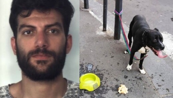 Catania, ruba motorino con cane al seguito che rischia di morire per lo sforzo
