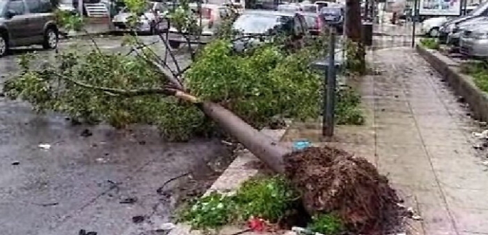 Maltempo, tempesta di vento a Palermo: tre feriti