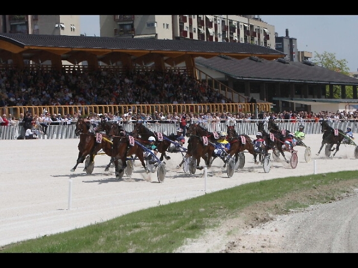 Ippica: trotto, vince a 90 anni