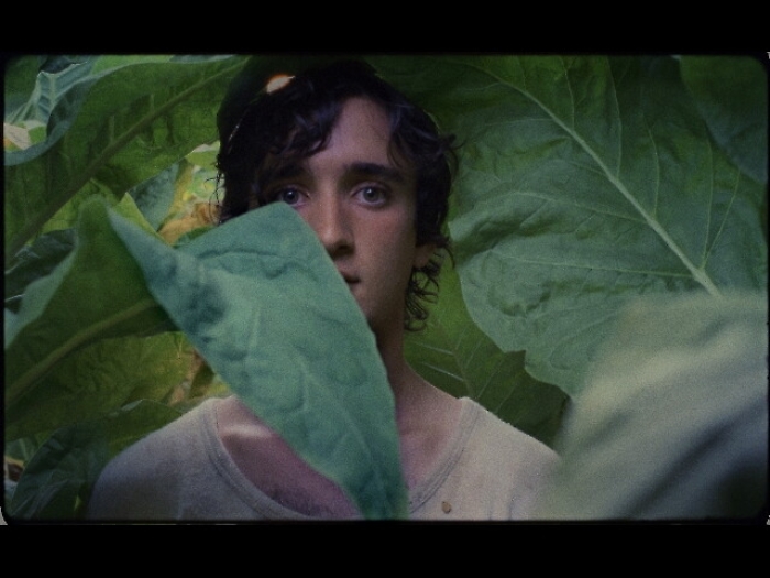 Cinema: Lazzaro Felice &egrave; terzo film dell'anno per Guardian