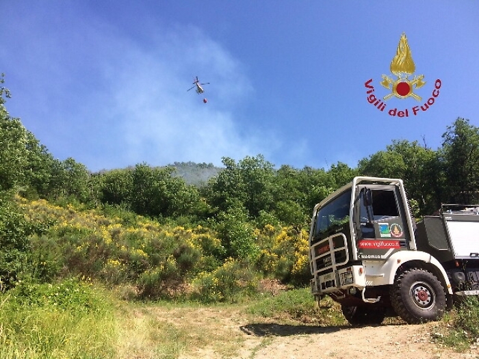 Incendio in bosco, canadair in azione