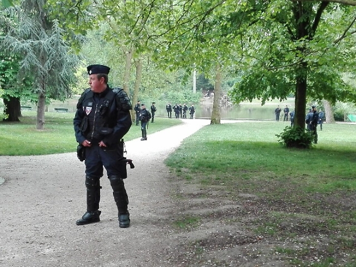 Francia: panico a zoo, fuga 50 babbuini