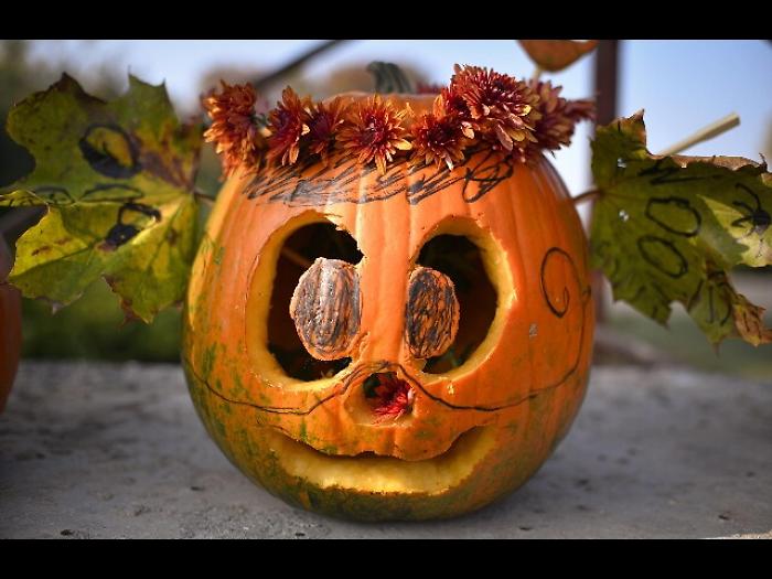 Spari a Halloween in California, 4 morti