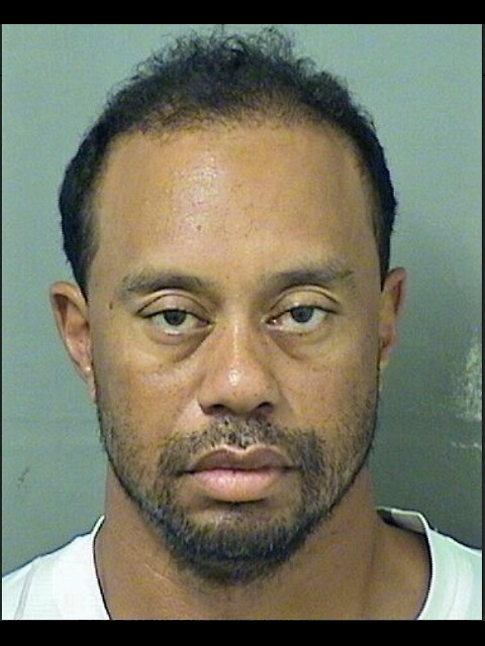 Usa: arrestato Tiger Woods