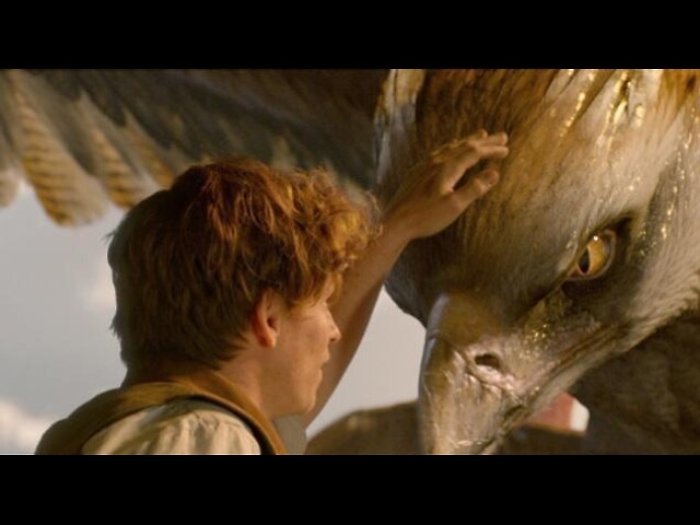 Febbre Potter, arriva Animali Fantastici