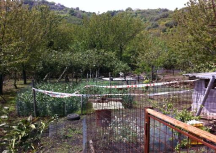 Mascalucia, uccise un ladro nel suo podere, ora chiede la grazia
