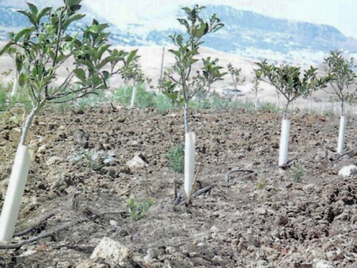 Enna: truffe, sequestrati beni per 200 mila euro