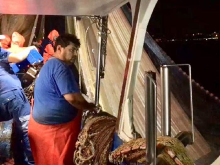 Reportage a bordo della Sant&rsquo; Alfio, &laquo;Ecco come passiamo le notti noi cacciatori del mare&raquo; 