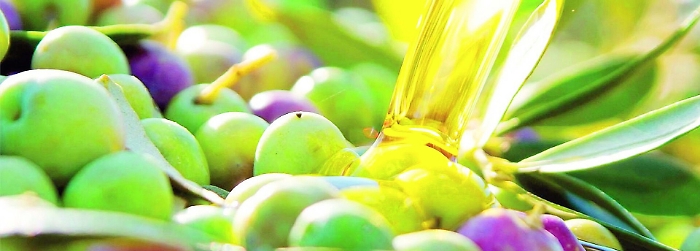 Produzione di olio, Sicilia spaccata in due Nel Catanese +65%, nel Belice crollo a -70% 