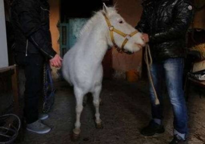 Librino, cento denunce per furti d’acqua e di elettricità