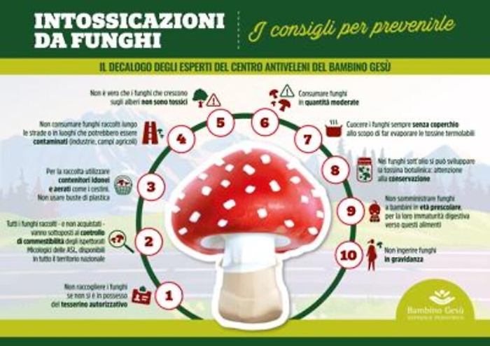 Alimenti: funghi pericolosi, 10 regole per mangiarli in sicurezza