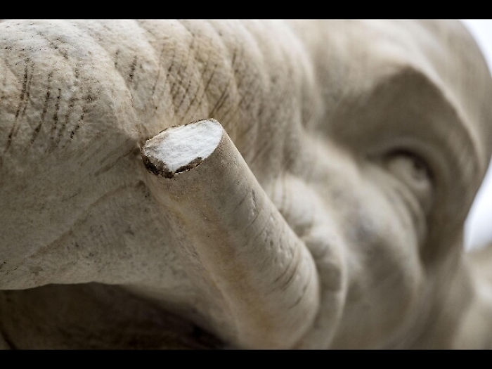Danneggiata a Roma statua dell'Elefante in piazza Minerva
