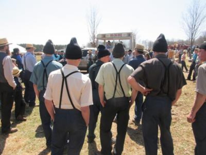 Ricerca: Amish protetti dall'asma, il segreto nelle polveri dei loro ambienti