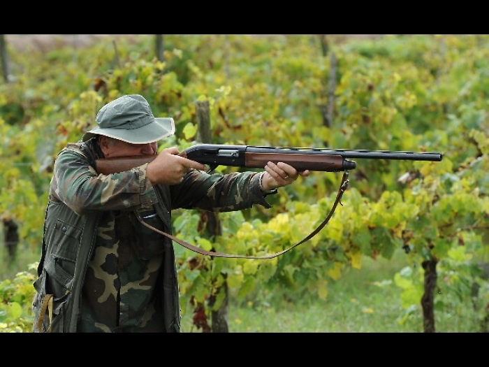 Sette anni di processi per un camoscio