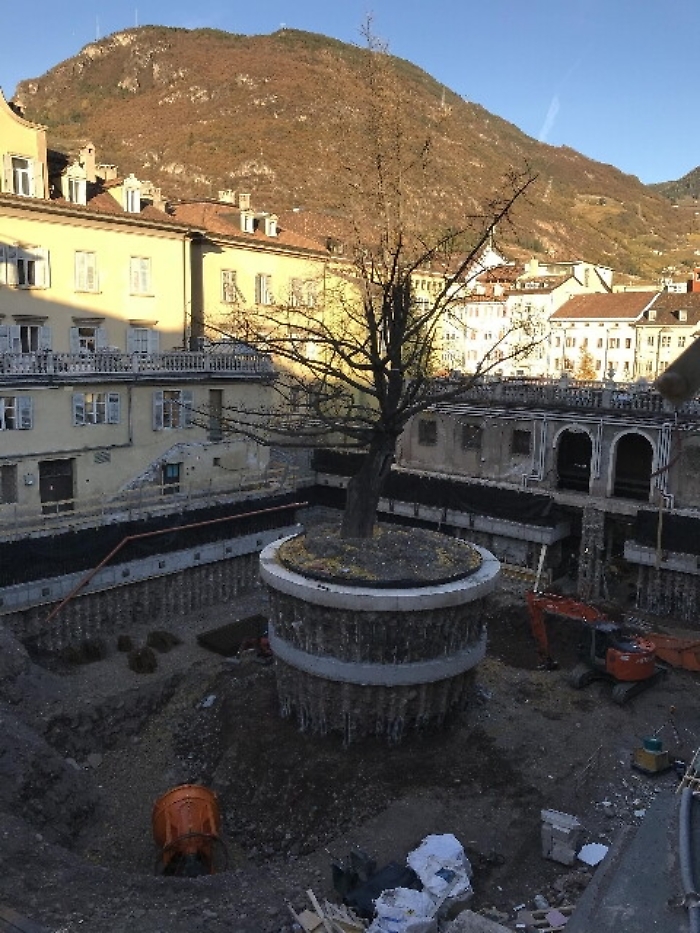 Il pi&ugrave; grande 'vaso di fiori' a Bolzano