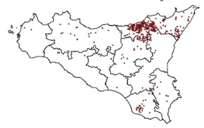 Brucellosi, la metà dei capi infetti si trova nel Messinese