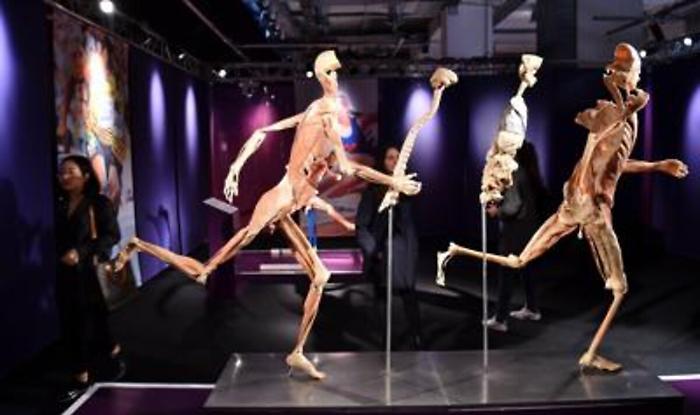 Salute: 13 malori nei primi due giorni della mostra 'Real Bodies', show chiuso