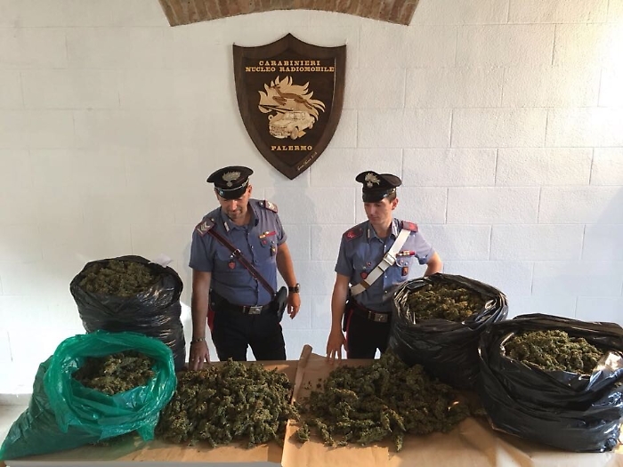 Palermo, nel bagagliaio 20 chili di marijuana: arrestato